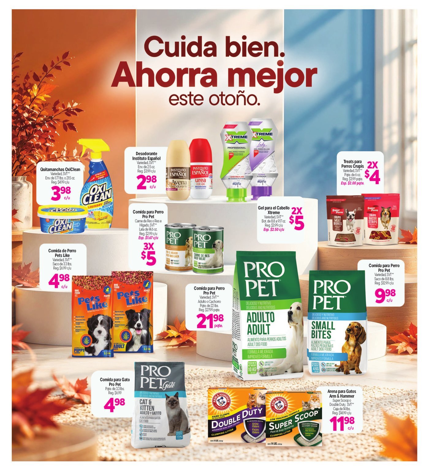 Econo — página 11